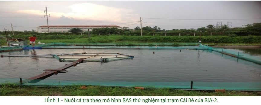 Bản tin số 5. Cải tiến quá trình quản lý chất thải ao nuôi cá tra tại Đồng bằng sông Cửu Long, Việt Nam